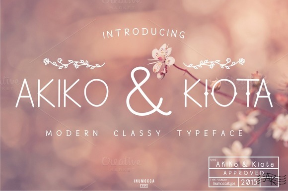 Akiko and Kiota Font for Web Design