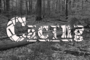 Cacing Font for Creative Makers
