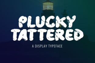 Plucky Tattered Font for Business