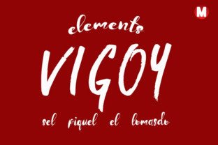 Vigoy Font for Web Design